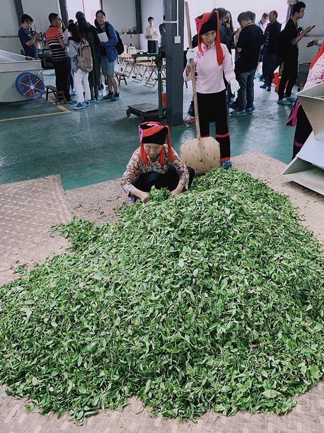 上海茶葉批發市場在哪全國最大的茶葉批發市場