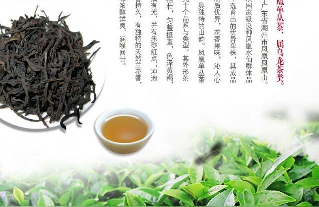 鳳凰茶葉的功效與作用鳳凰茶屬于什么茶