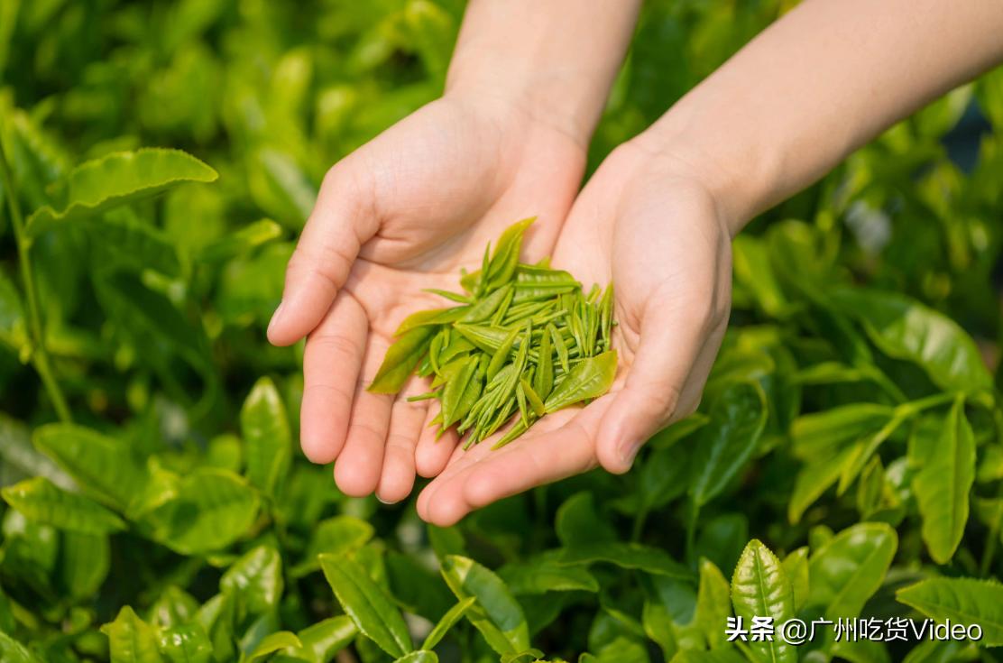 唐代茶葉的種類唐朝人飲茶的都有哪些