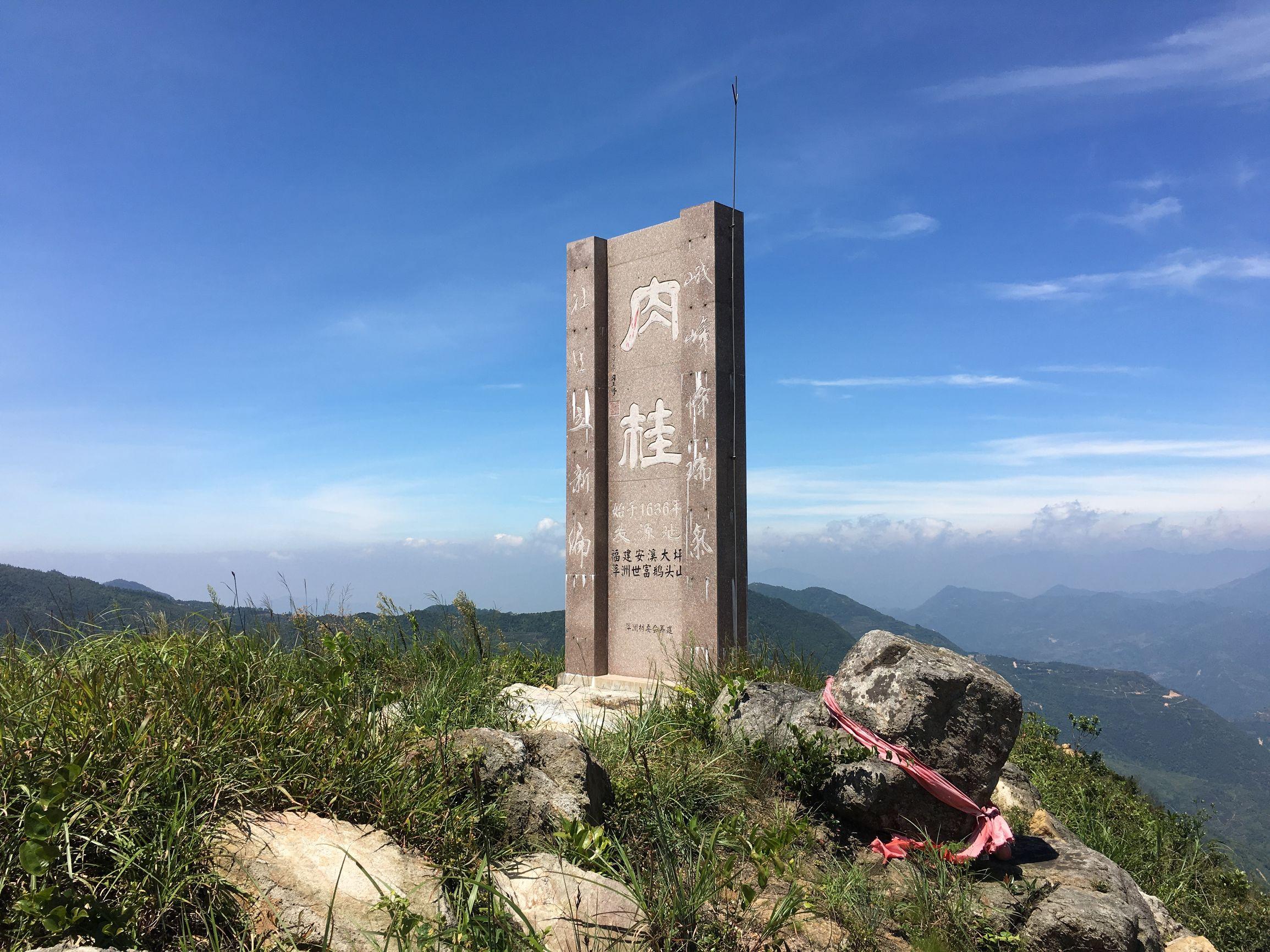 肉桂是什么茶葉有什么功效與作用呢肉桂和桂皮有什么區別