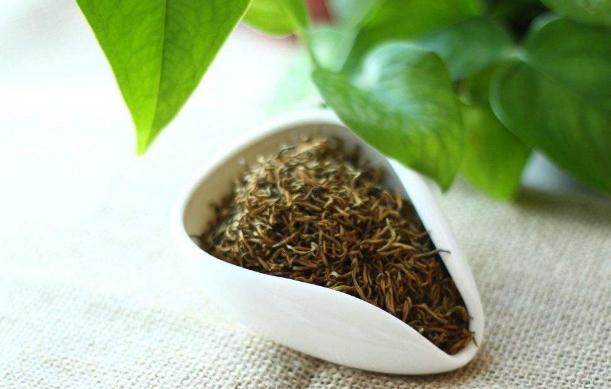 茶葉攤青時間與香氣的關系是什么茶葉制作中哪一步是決定茶葉品質的關鍵呢