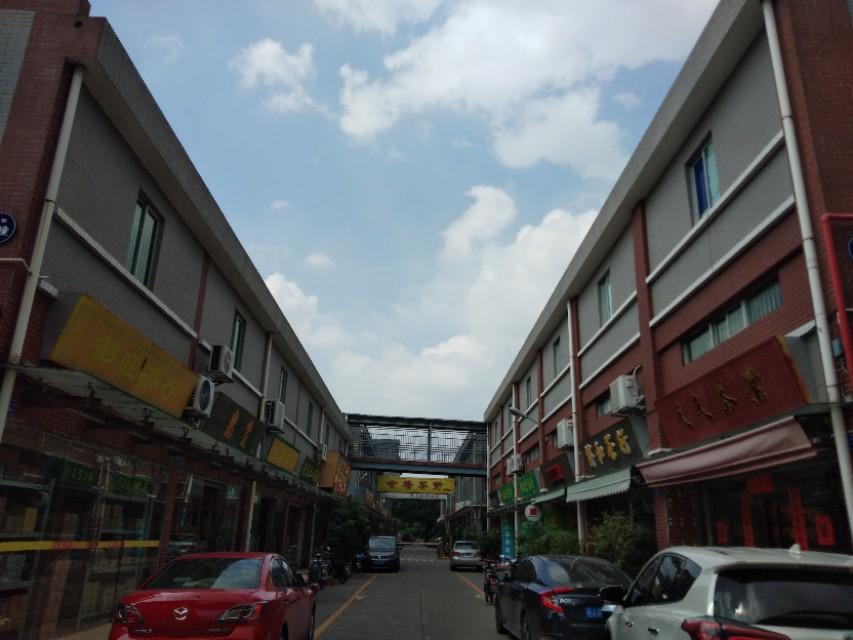 茶葉批發市場大全在哪里可以找到廣東廣州佛山有哪些茶葉市場