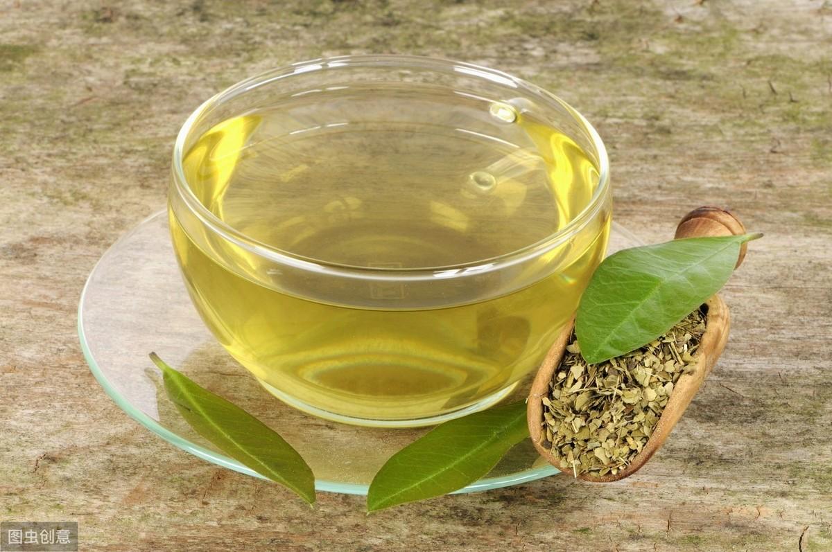 苦茶葉的功效與作用老鷹茶和苦丁茶的區別