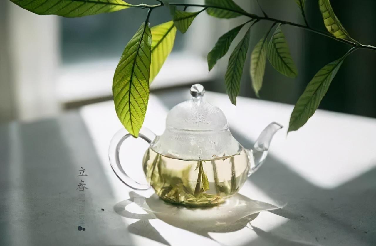 大紅袍茶的作用和功效常喝大紅袍有哪些功效
