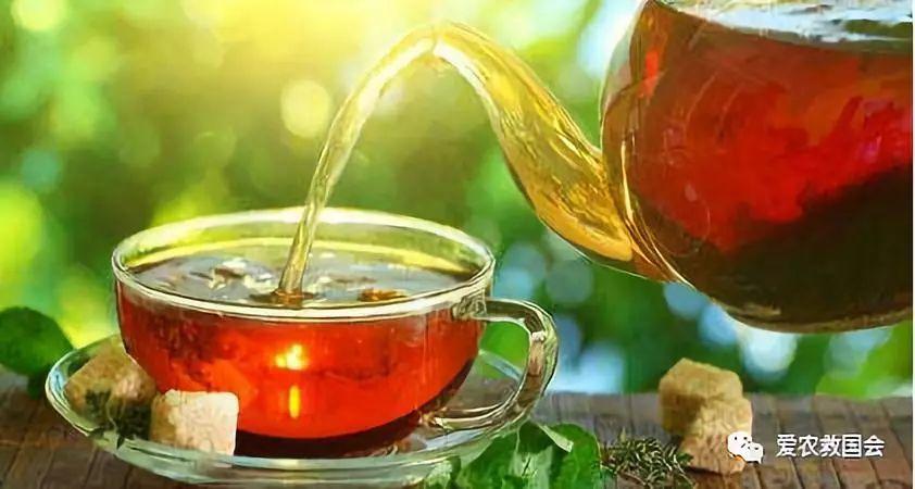 茶葉攤青時間與香氣的關系是什么意思正味鐵觀音和消青鐵觀音怎么區分