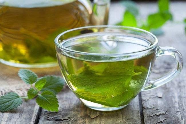 绿茶叶的功效与作用红豆杉的叶子泡水喝