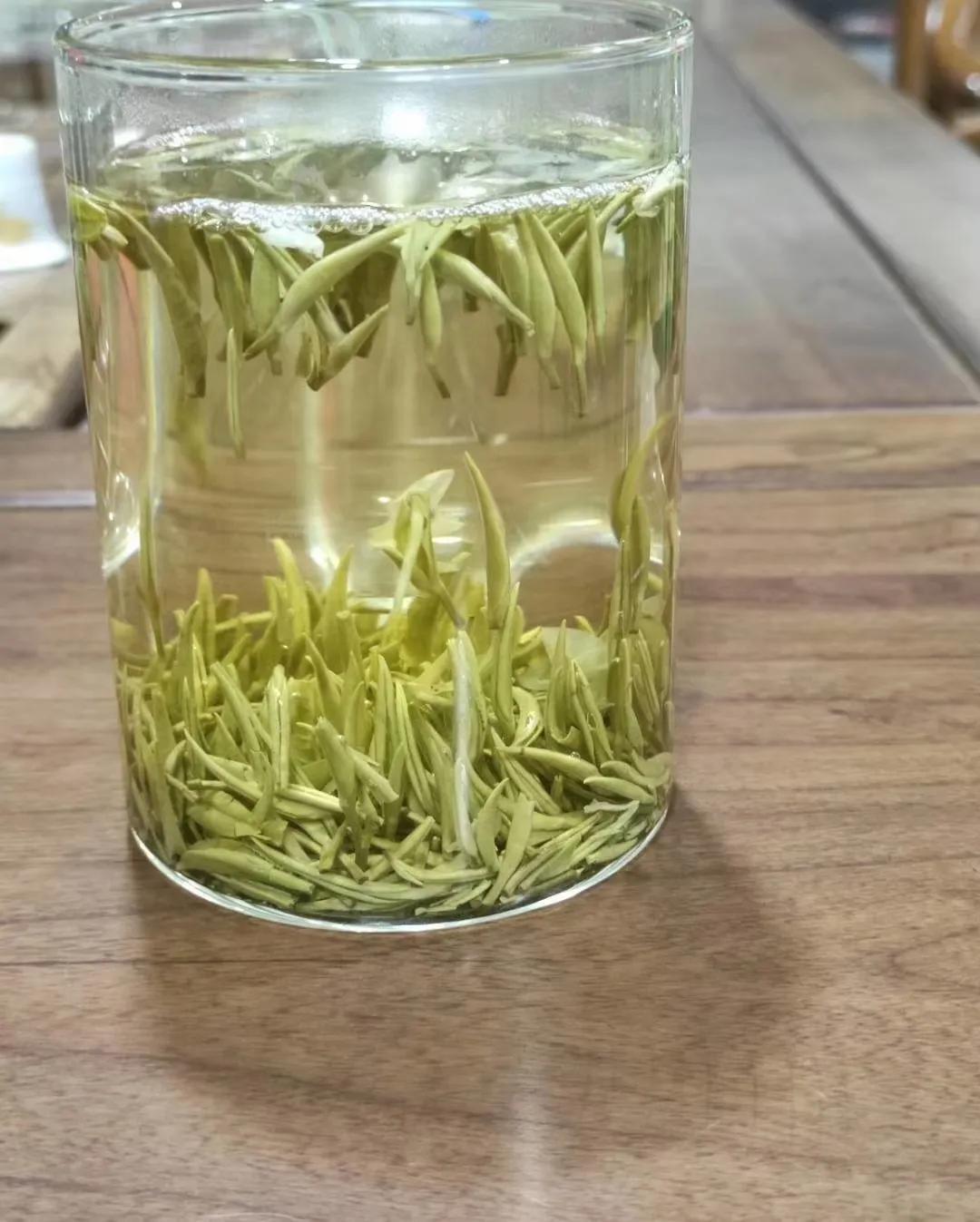 茉莉花茶的功效與禁忌癥茉莉花茶屬于什么茶