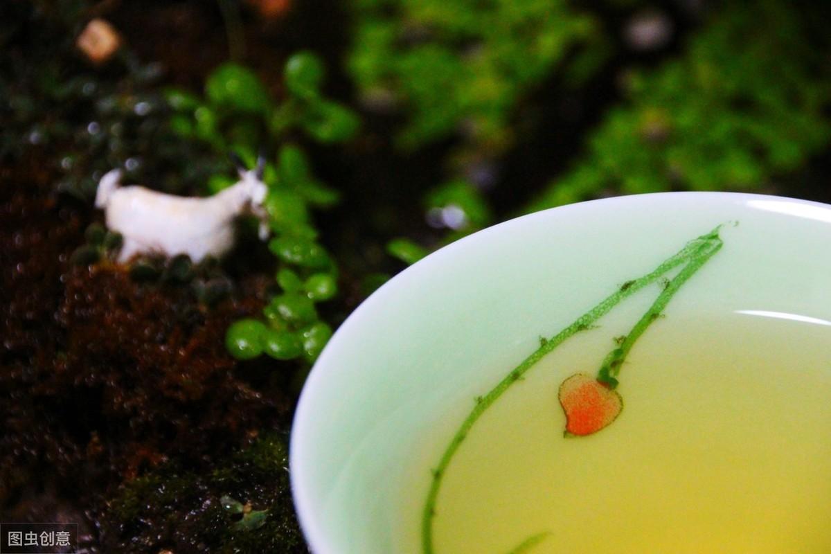溫州茶葉批發(fā)市場(chǎng)地址溫州甌海區(qū)辦理個(gè)人社保怎么辦理